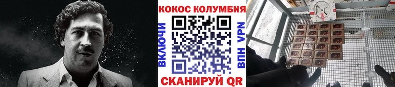 даркнет как зайти  kraken зеркало  Бирюч  COCAIN Fish Scale 