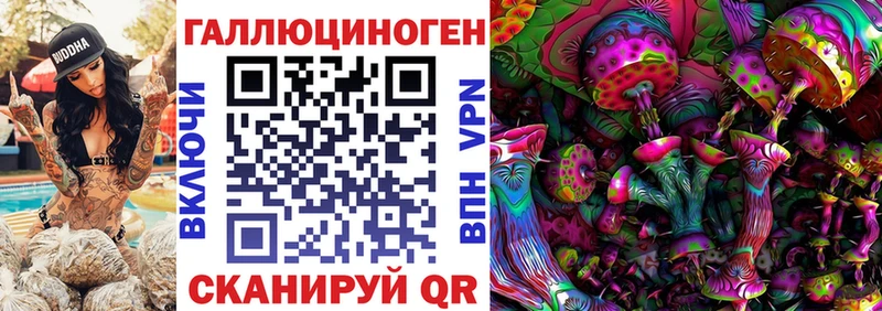 мега зеркало  Бирюч  Псилоцибиновые грибы Cubensis  где можно купить наркотик 